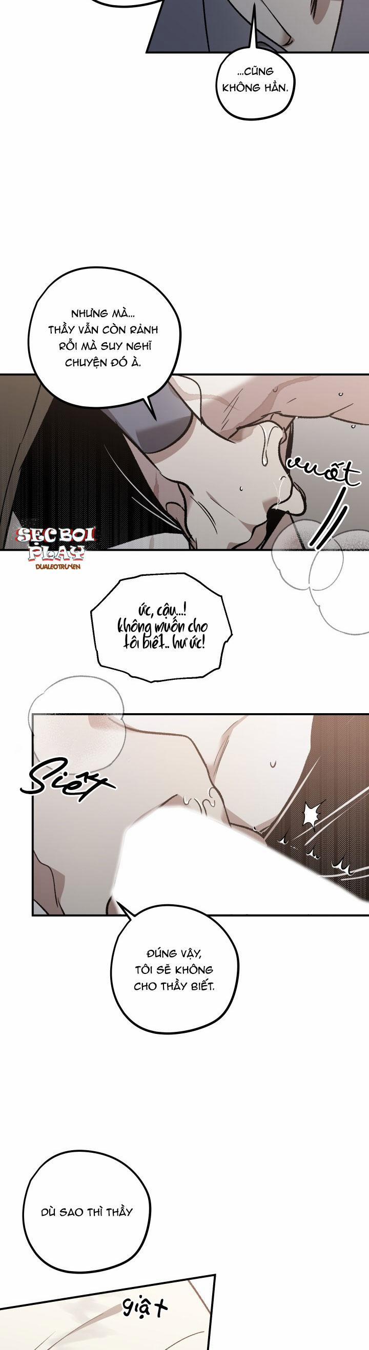 Khu Vườn Hoa Lavender 4 trang 11