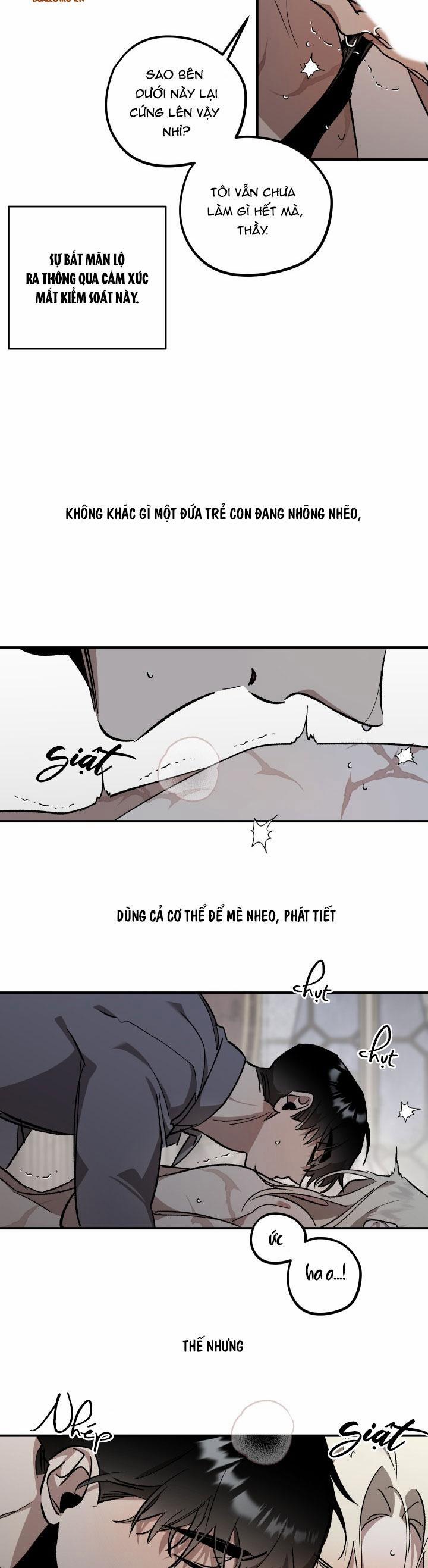 Khu Vườn Hoa Lavender 4 trang 13