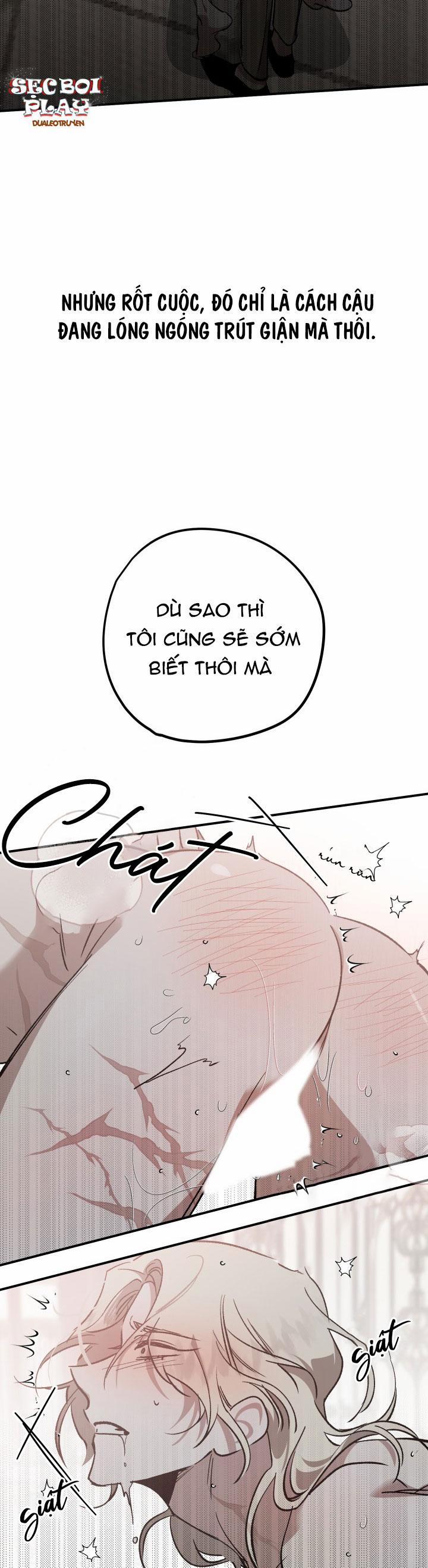 Khu Vườn Hoa Lavender 4 trang 17