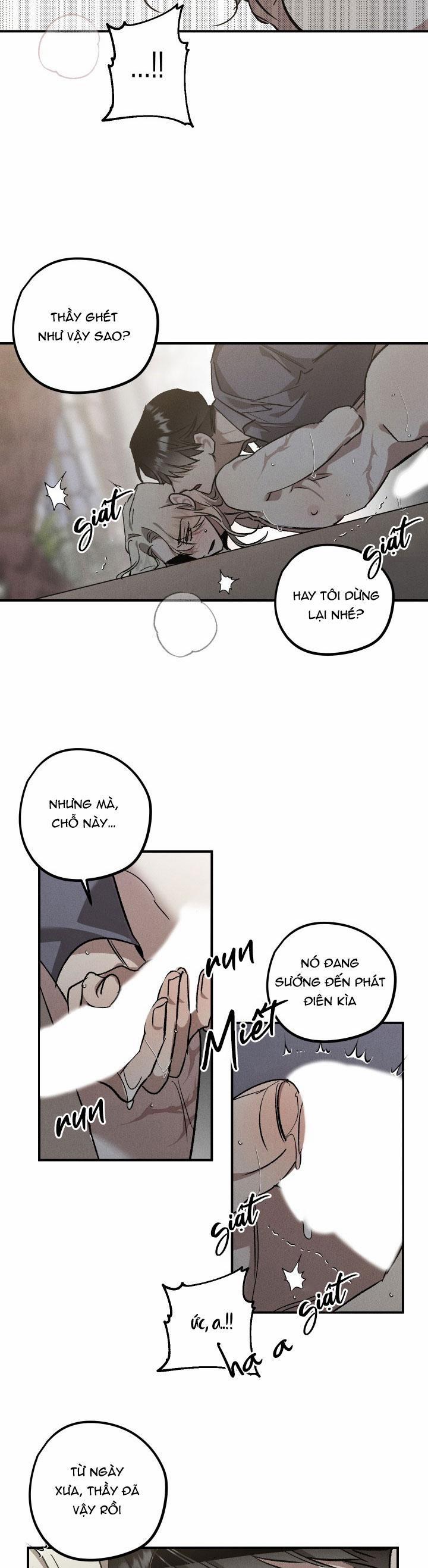 Khu Vườn Hoa Lavender 4 trang 18