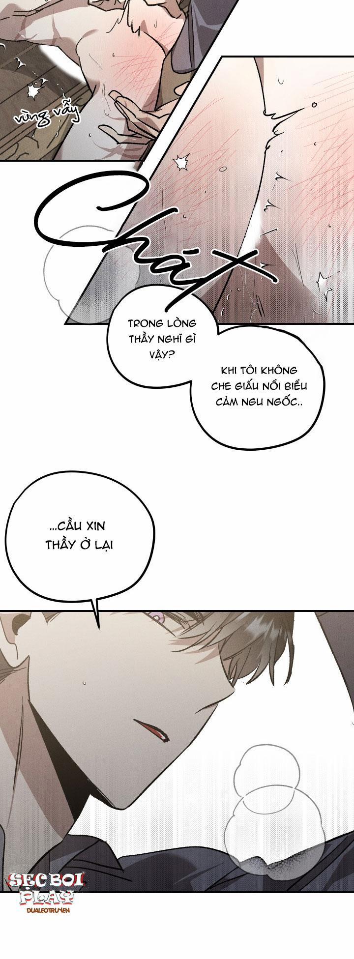 Khu Vườn Hoa Lavender 4 trang 20