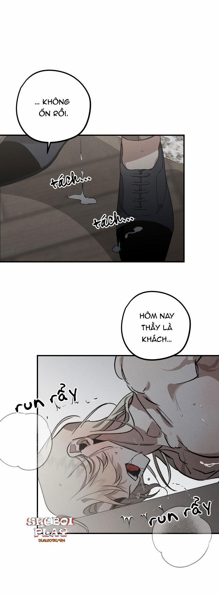 Khu Vườn Hoa Lavender 4 trang 22