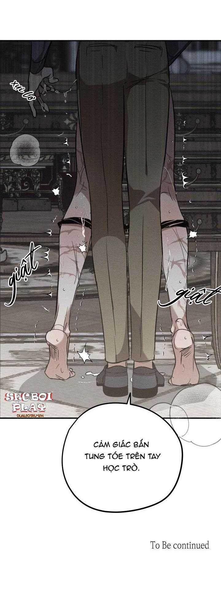 Khu Vườn Hoa Lavender 4 trang 24