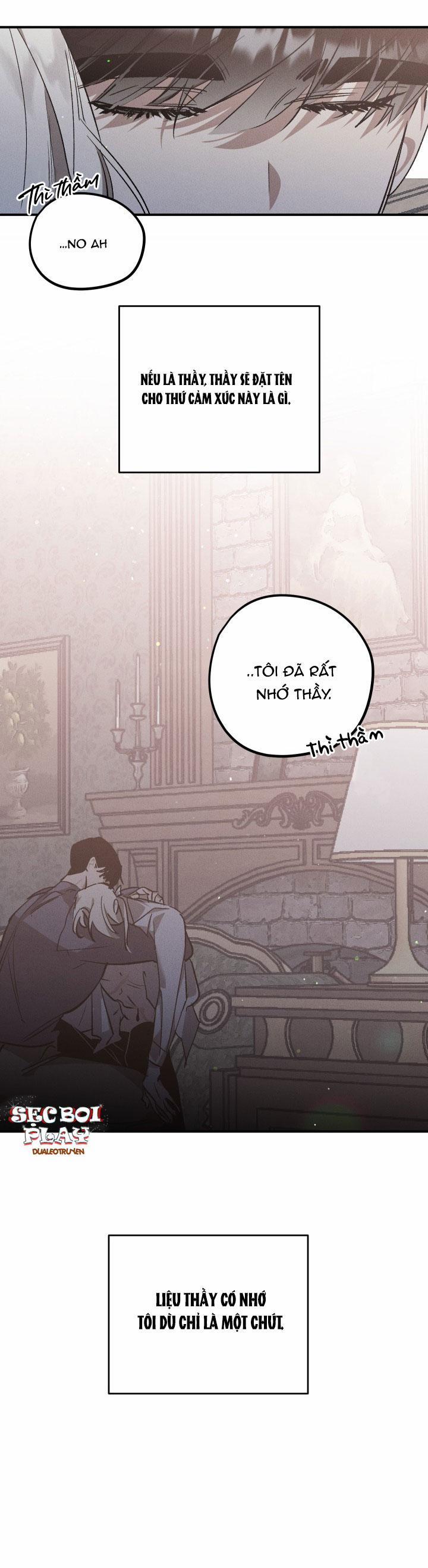 Khu Vườn Hoa Lavender 4 trang 5