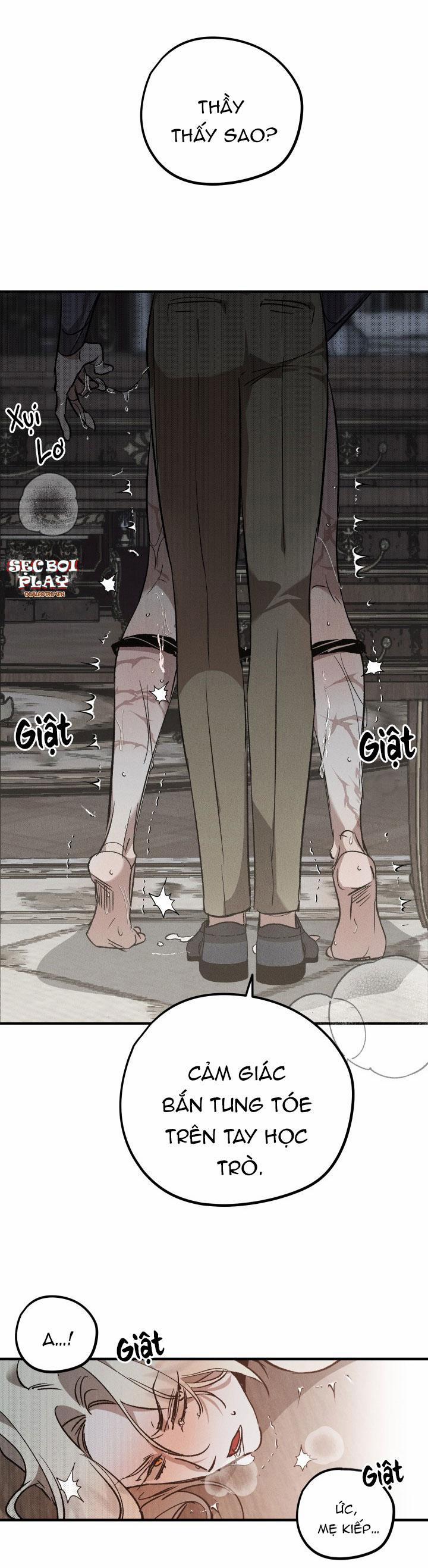 Khu Vườn Hoa Lavender 5 trang 0