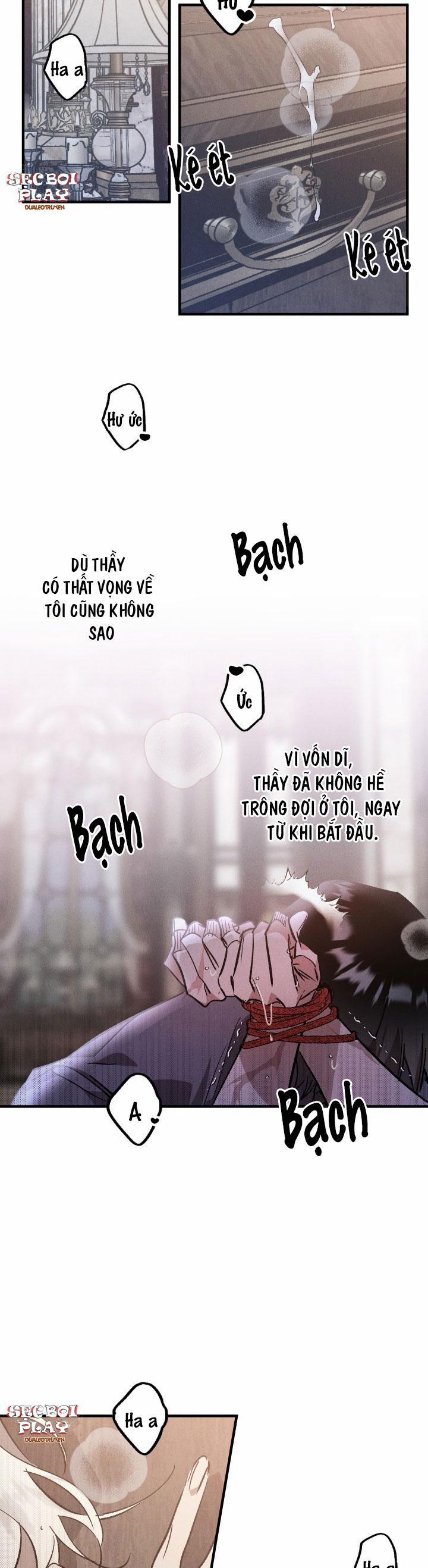 Khu Vườn Hoa Lavender 5 trang 16