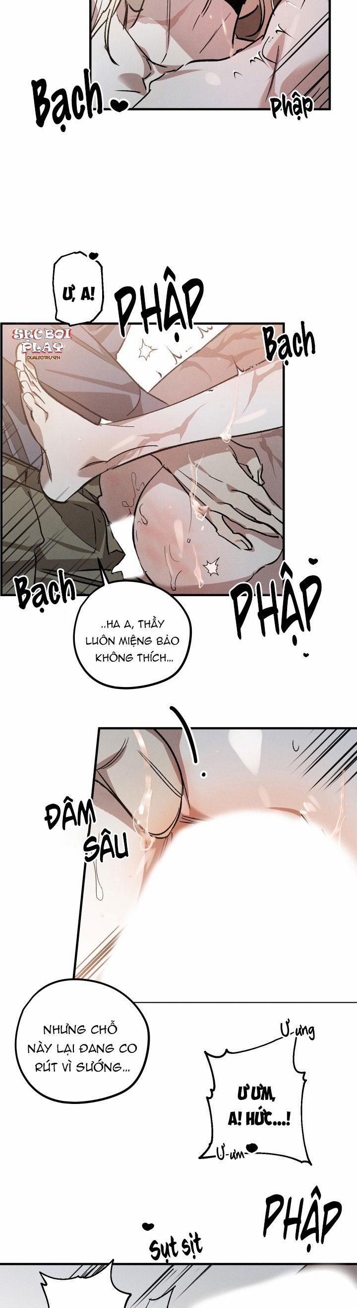 Khu Vườn Hoa Lavender 5 trang 18