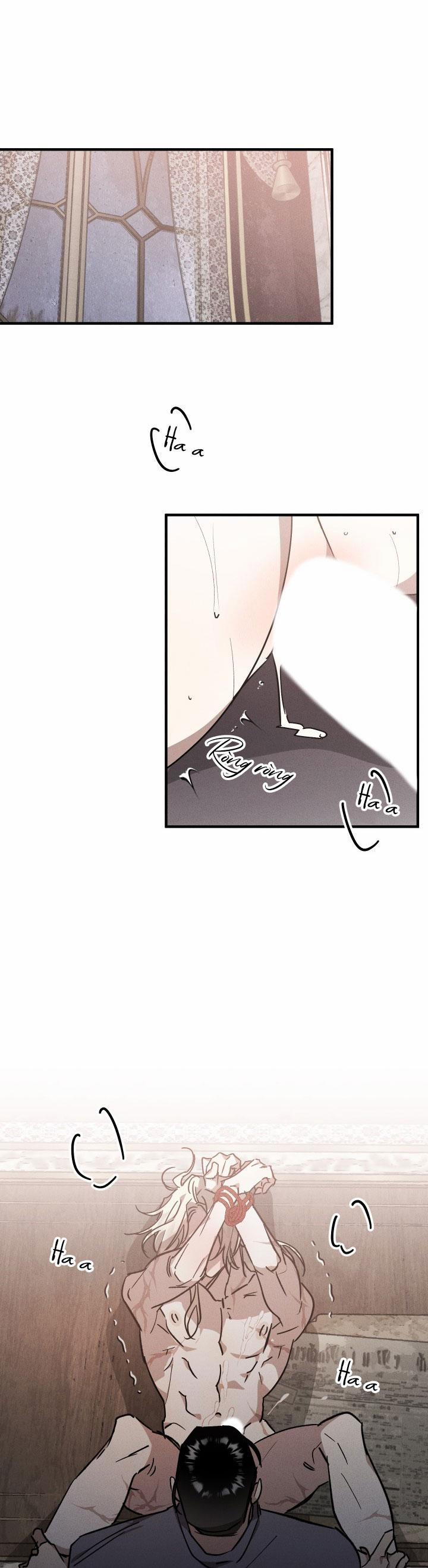 Khu Vườn Hoa Lavender 6 trang 0