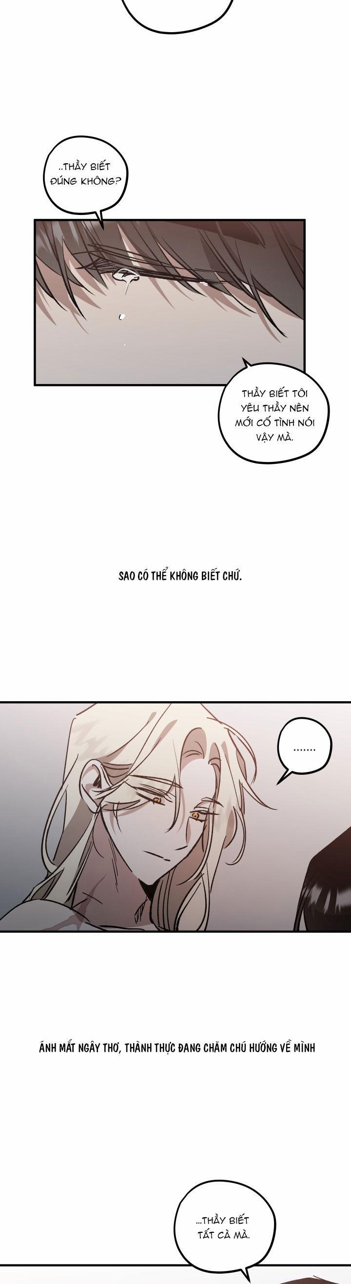 Khu Vườn Hoa Lavender 6 trang 13