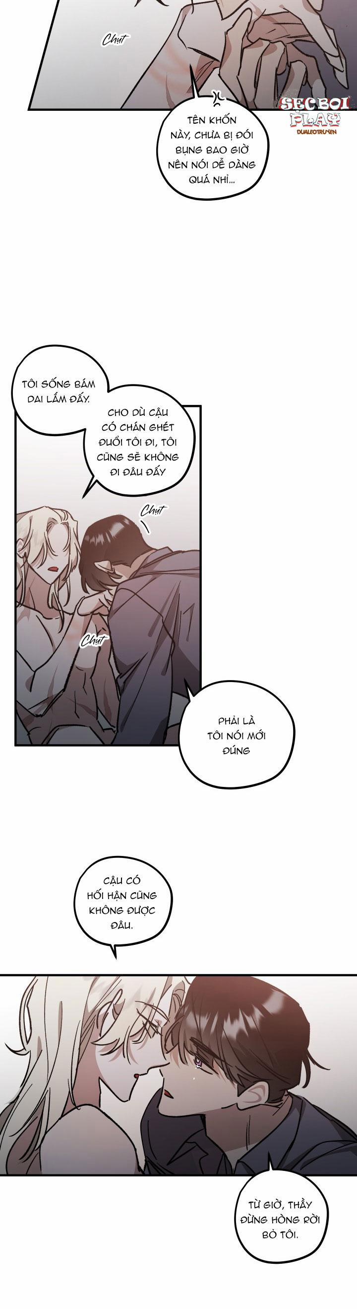 Khu Vườn Hoa Lavender 6 trang 15