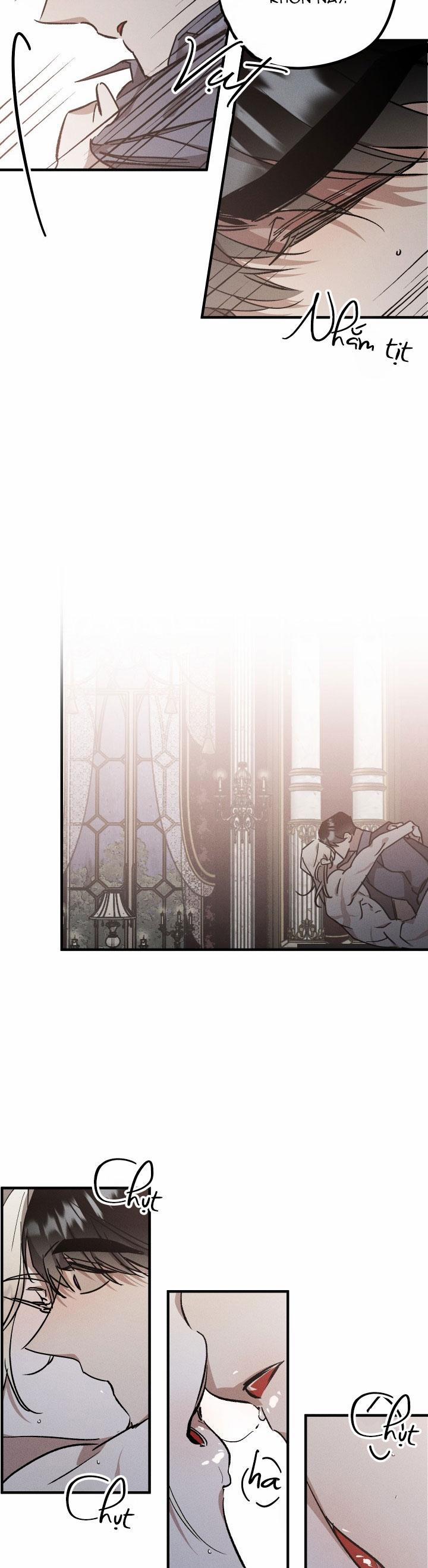 Khu Vườn Hoa Lavender 6 trang 3