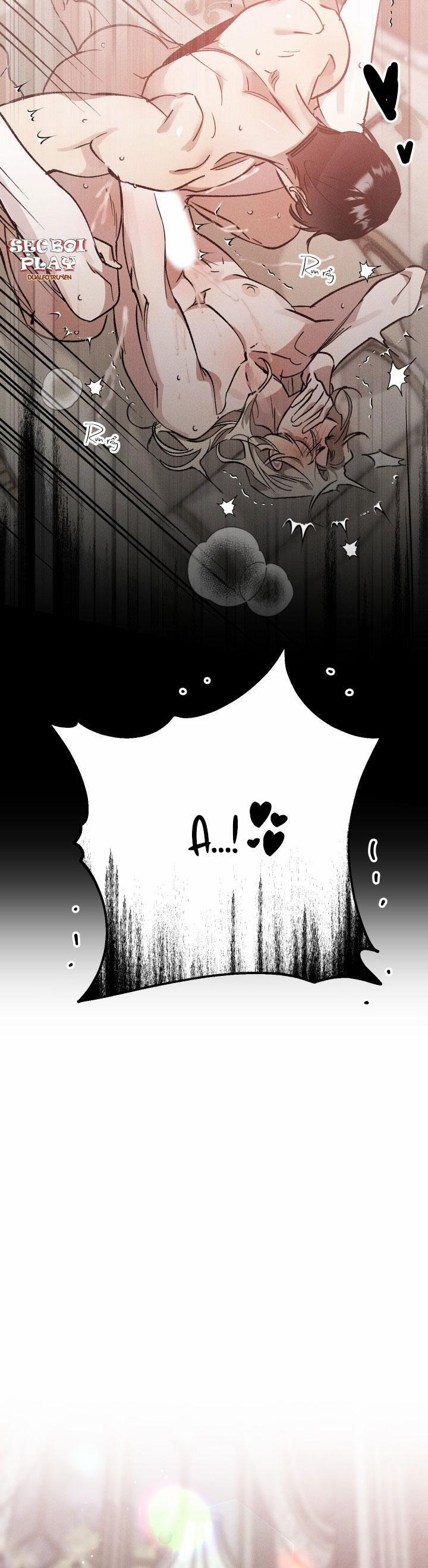 Khu Vườn Hoa Lavender 7 trang 10