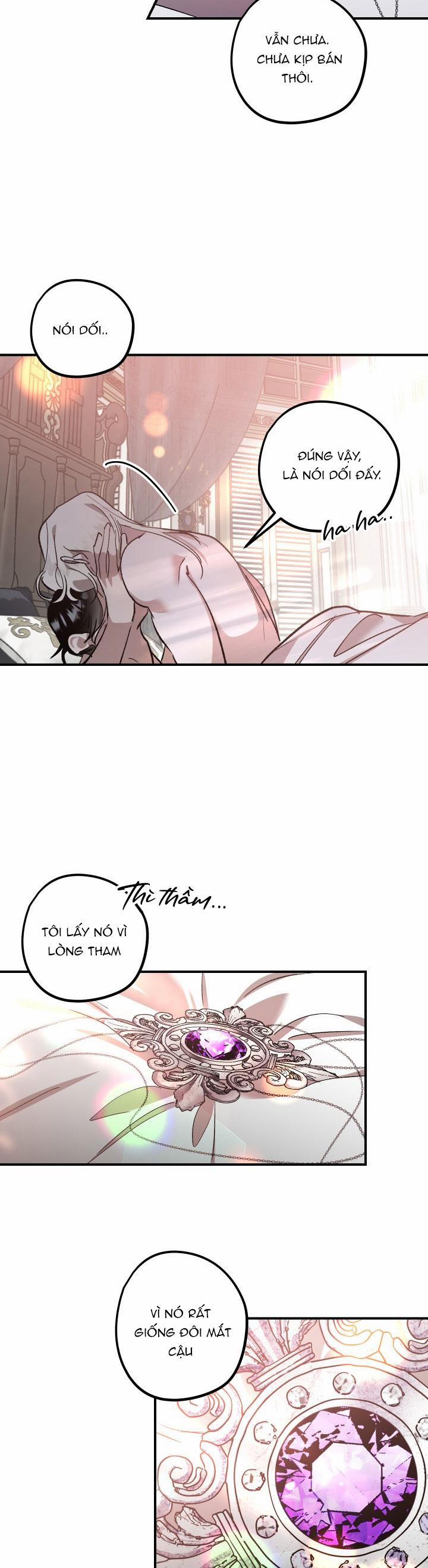 Khu Vườn Hoa Lavender 7 trang 13