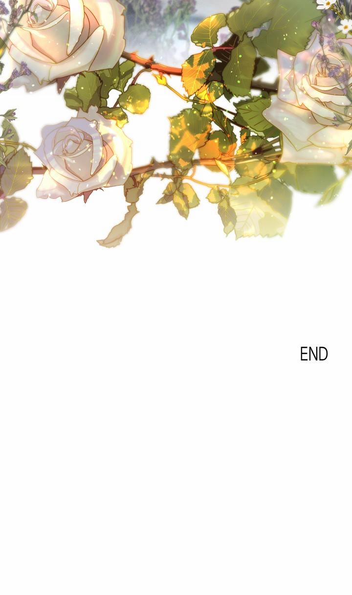 Khu Vườn Hoa Lavender 7 trang 20