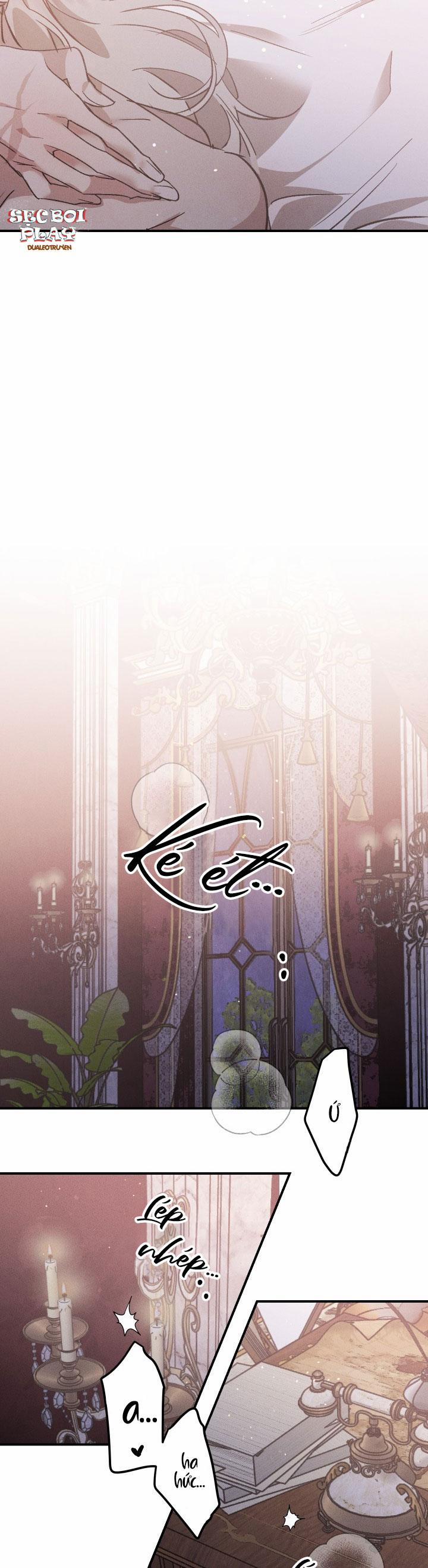 Khu Vườn Hoa Lavender 7 trang 3