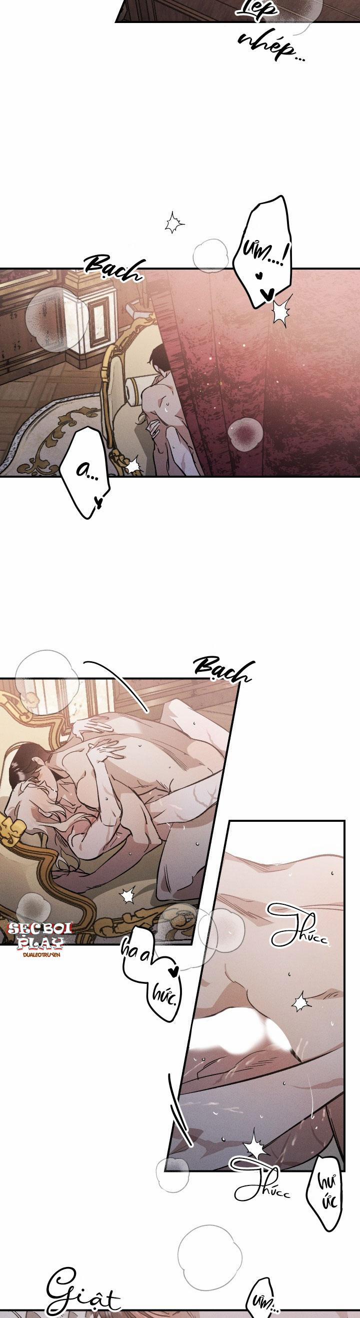 Khu Vườn Hoa Lavender 7 trang 4