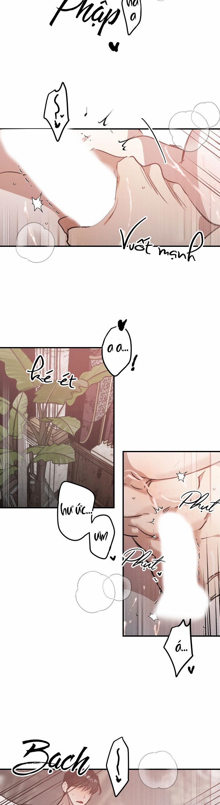 Khu Vườn Hoa Lavender 7 trang 8