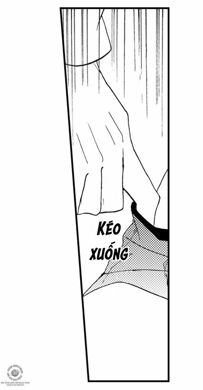 Kì Sinh Mãn 10 trang 28