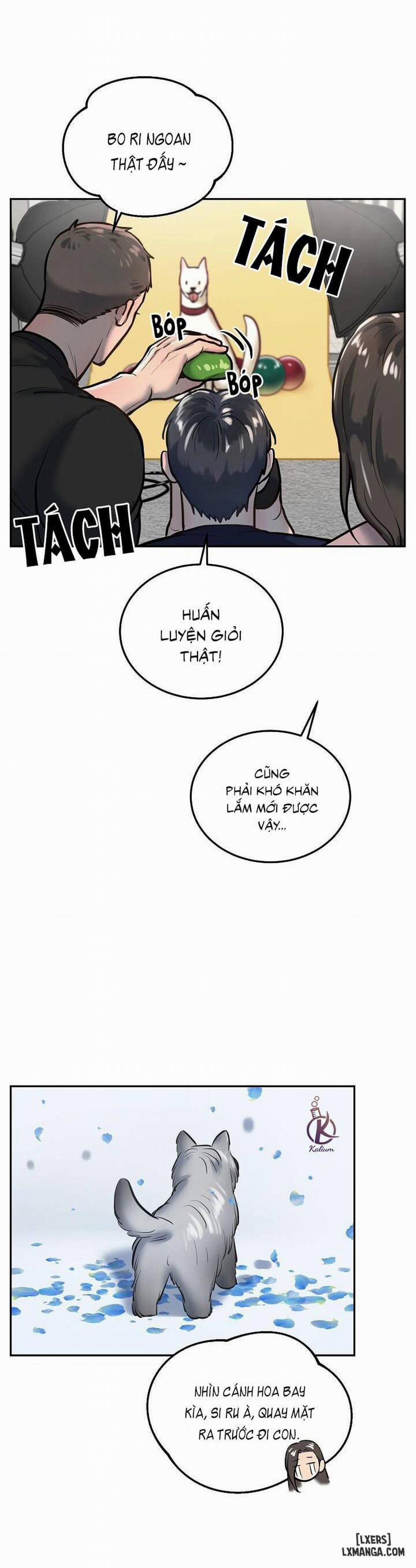 Kí ức ngọt ngào 21 trang 11