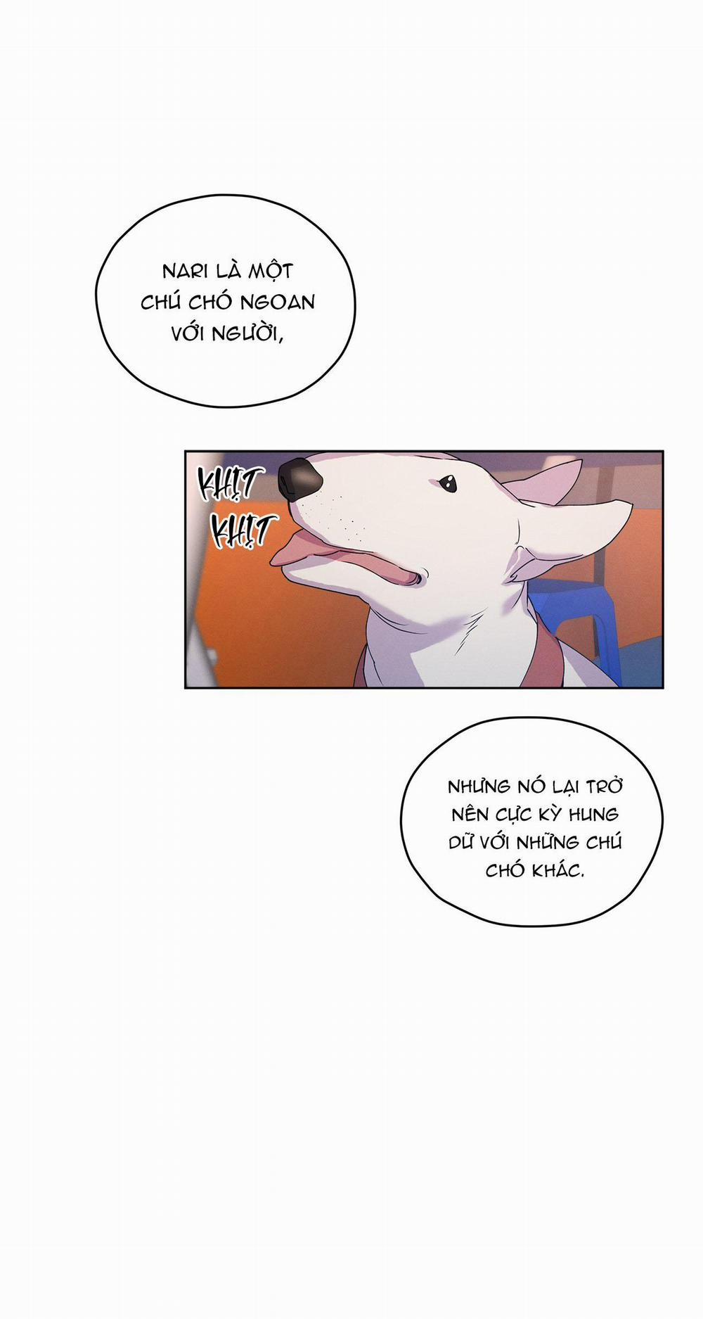 Kí Ức Về Trong Hơi Thở 13 trang 33