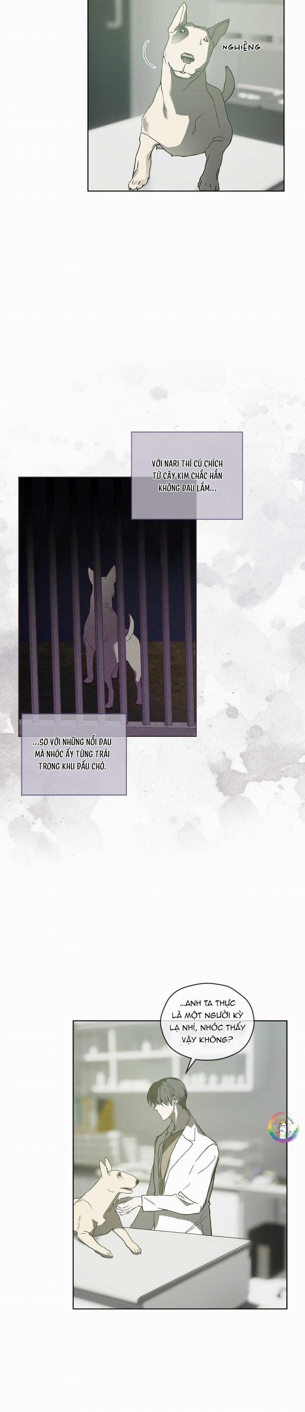 Kí Ức Về Trong Hơi Thở 29 trang 15