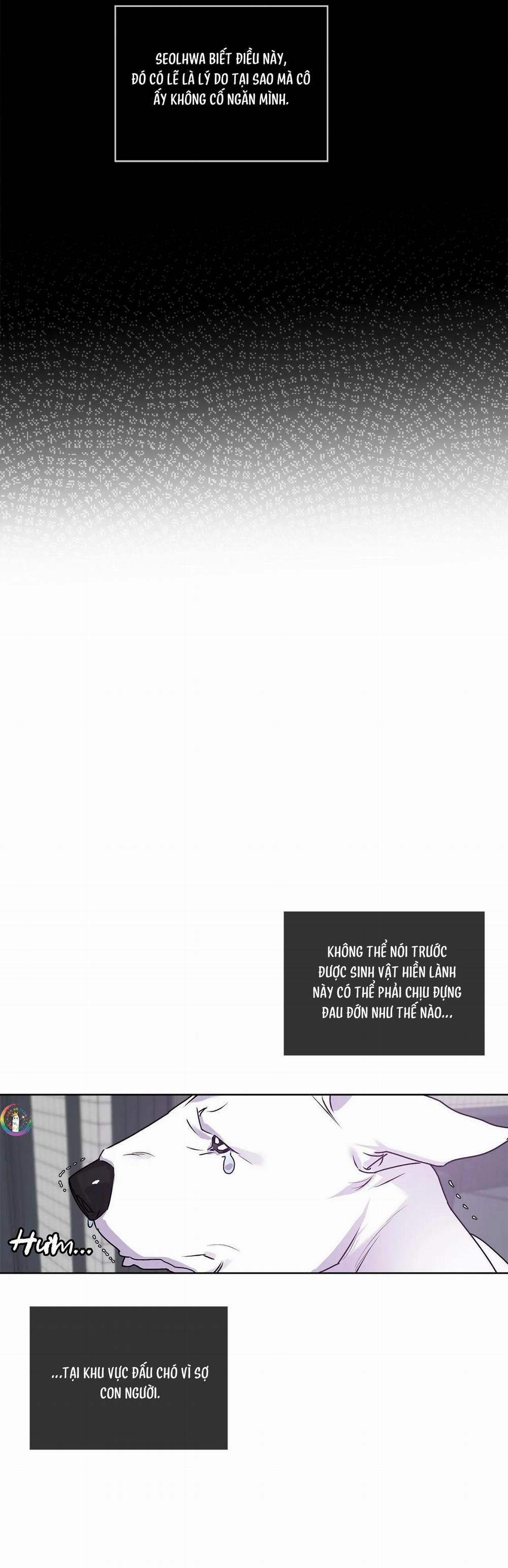 Kí Ức Về Trong Hơi Thở 9 trang 8