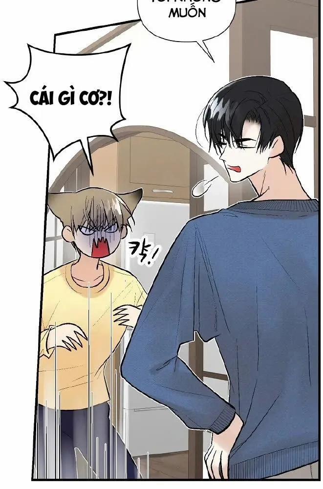 Kiaedam 10 trang 38
