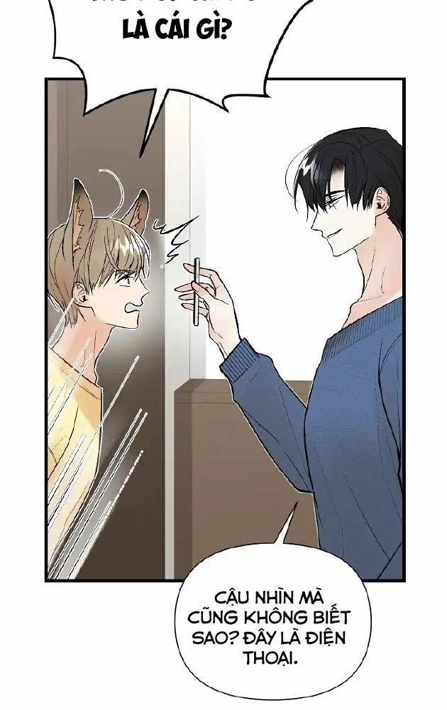 Kiaedam 10 trang 47