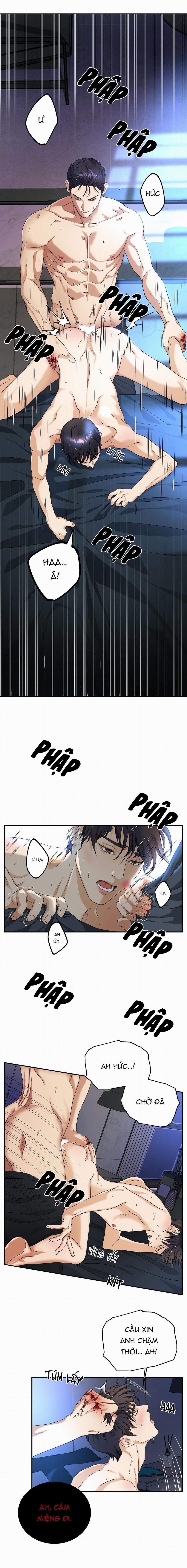 Kích Hoạt 2 trang 11