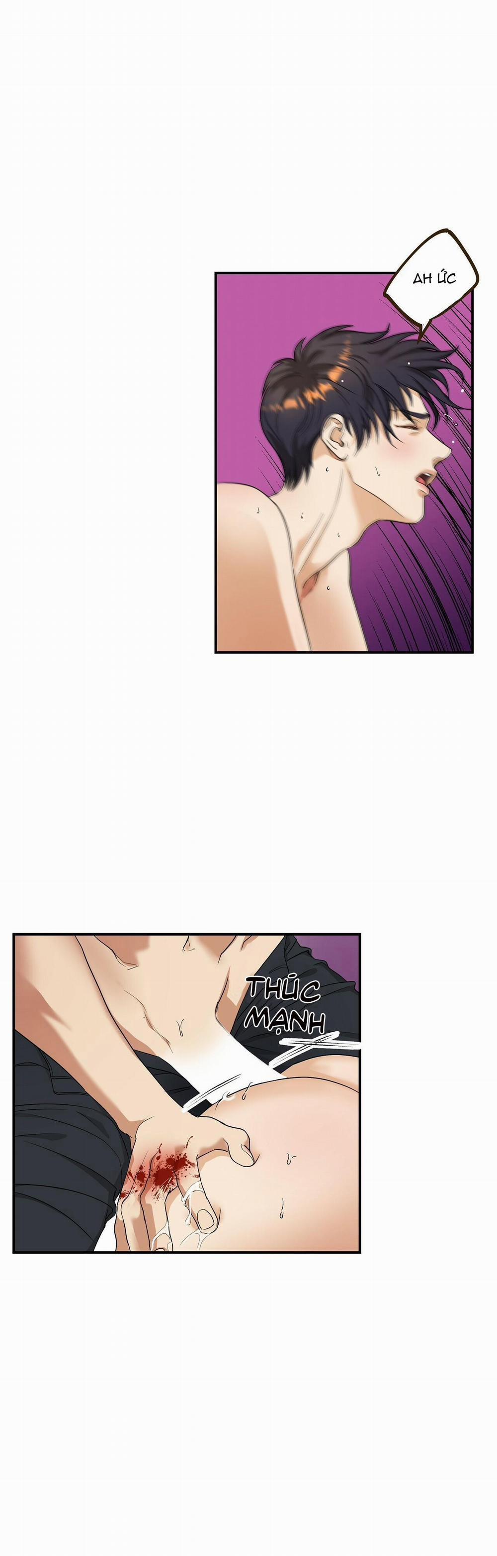 Kích Hoạt 2 trang 8