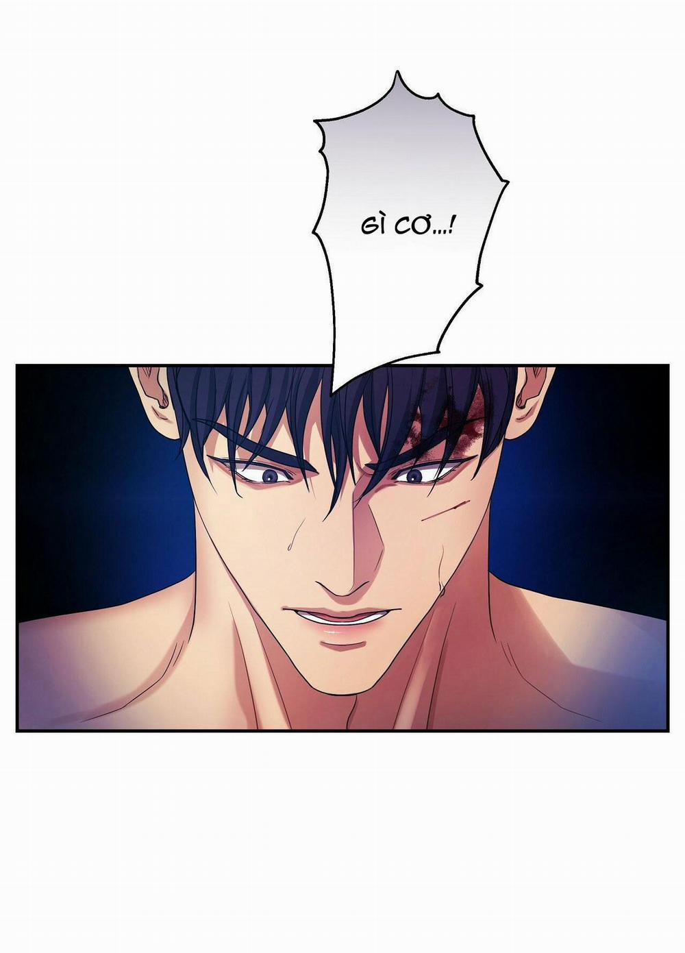 Kích Hoạt 22 trang 101