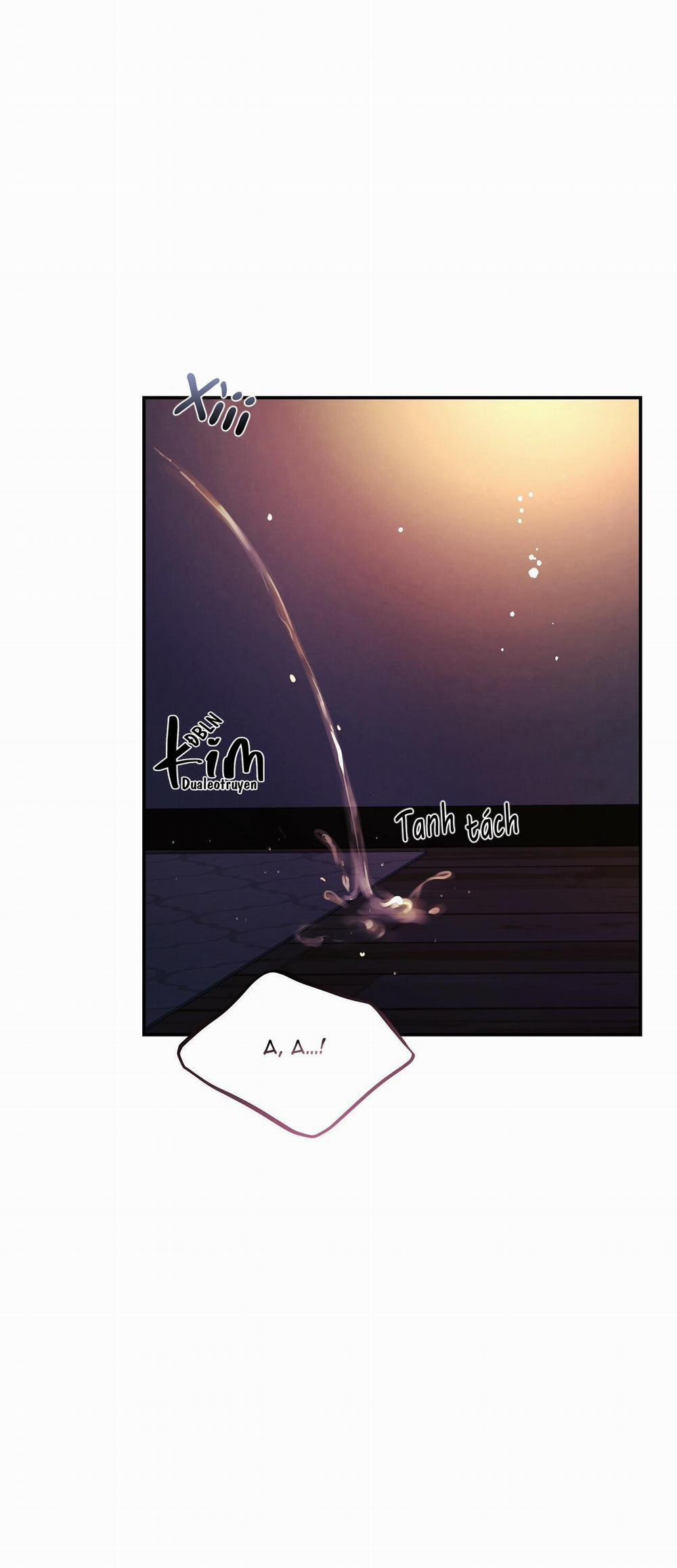 Kích Hoạt 23 trang 46