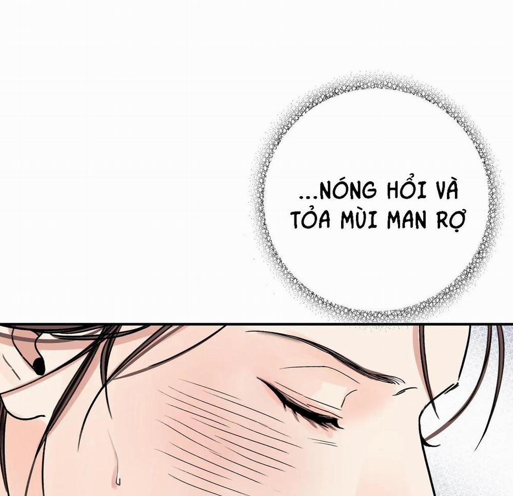 KIẾM HOA 28 trang 10