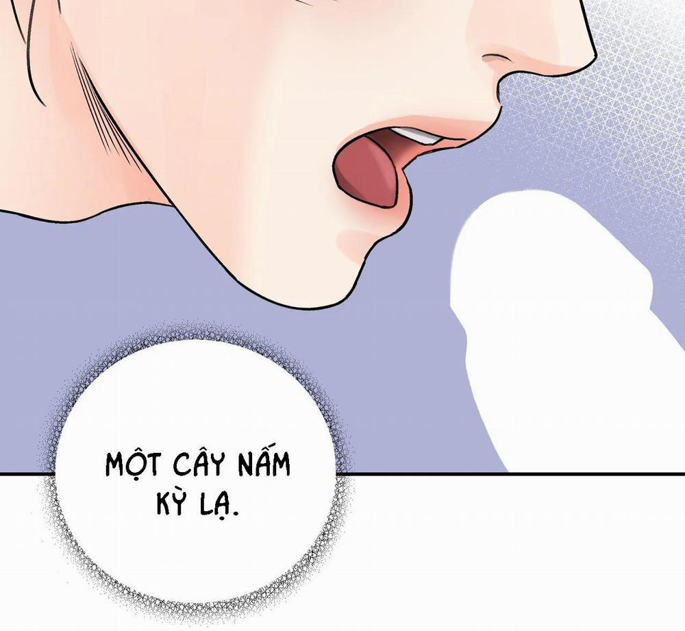 KIẾM HOA 28 trang 11