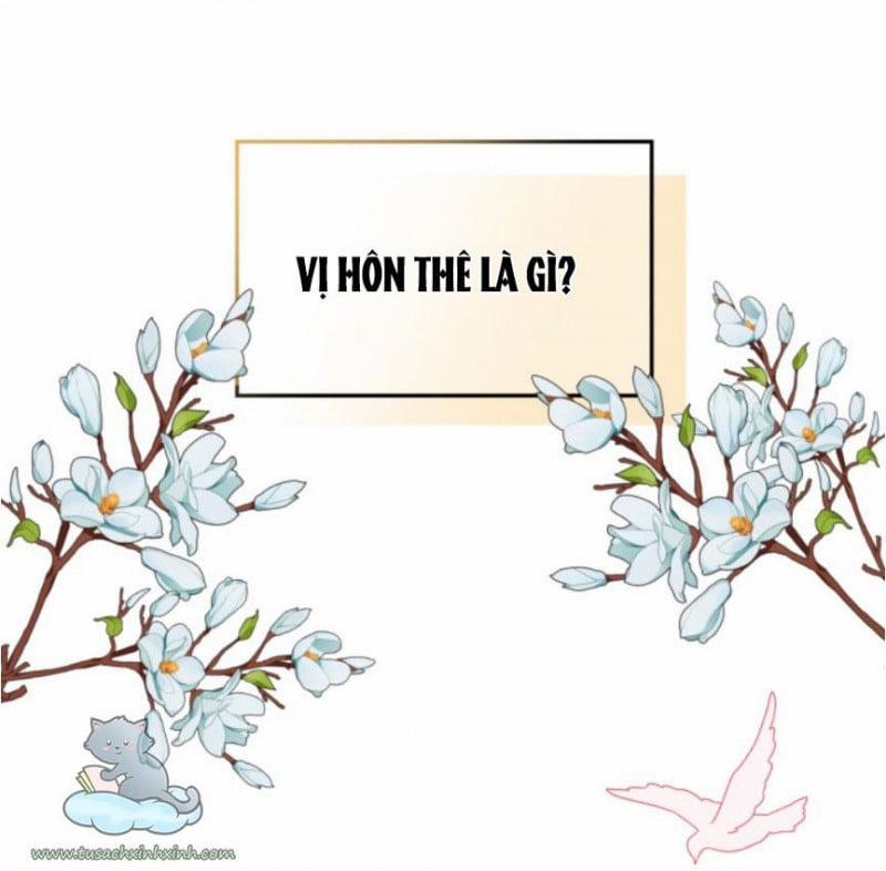 Kiên Quyết Ngăn Cản Cuộc Hôn Nhân Này 2 trang 0