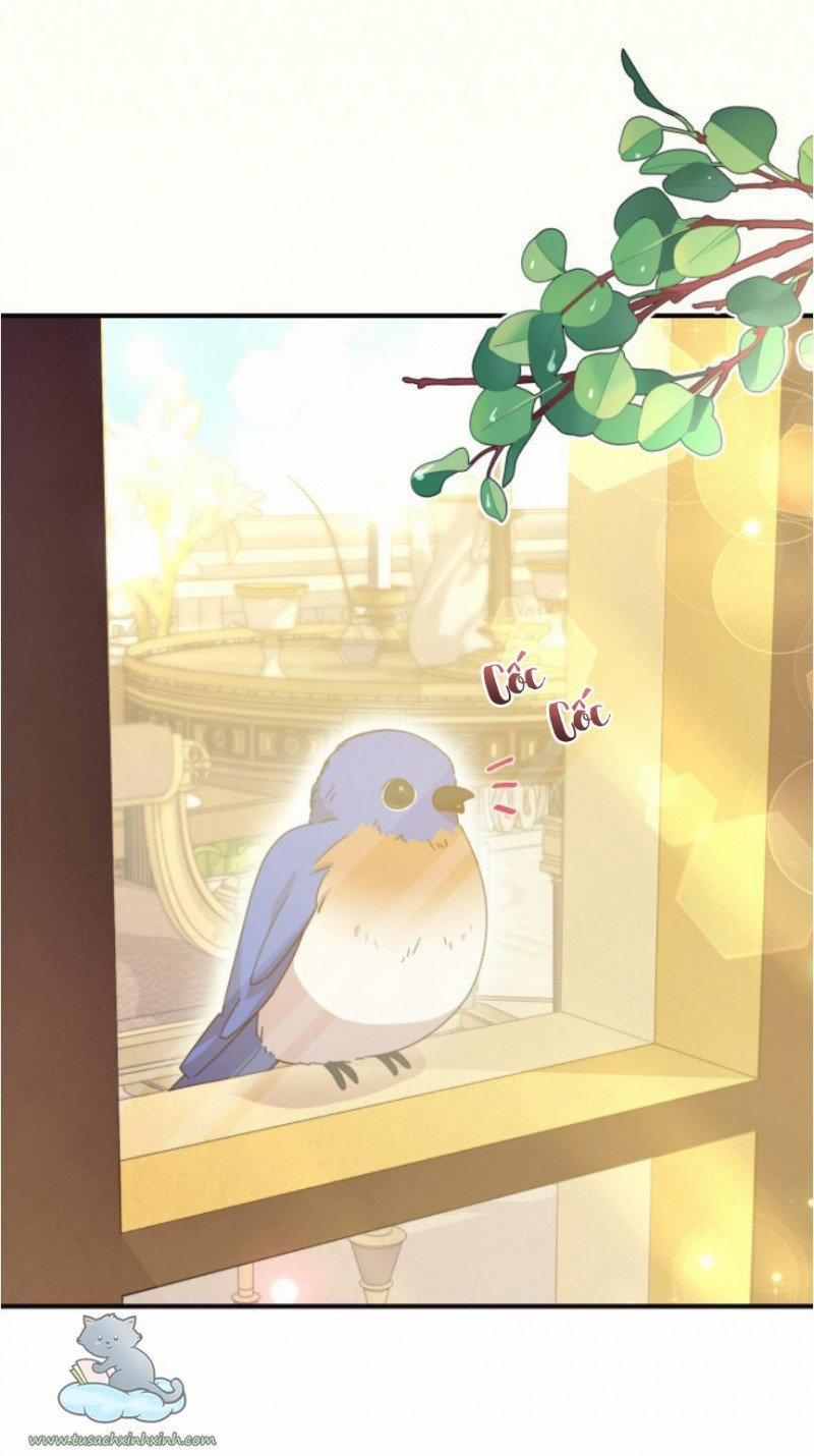 Kiên Quyết Ngăn Cản Cuộc Hôn Nhân Này 4 trang 1