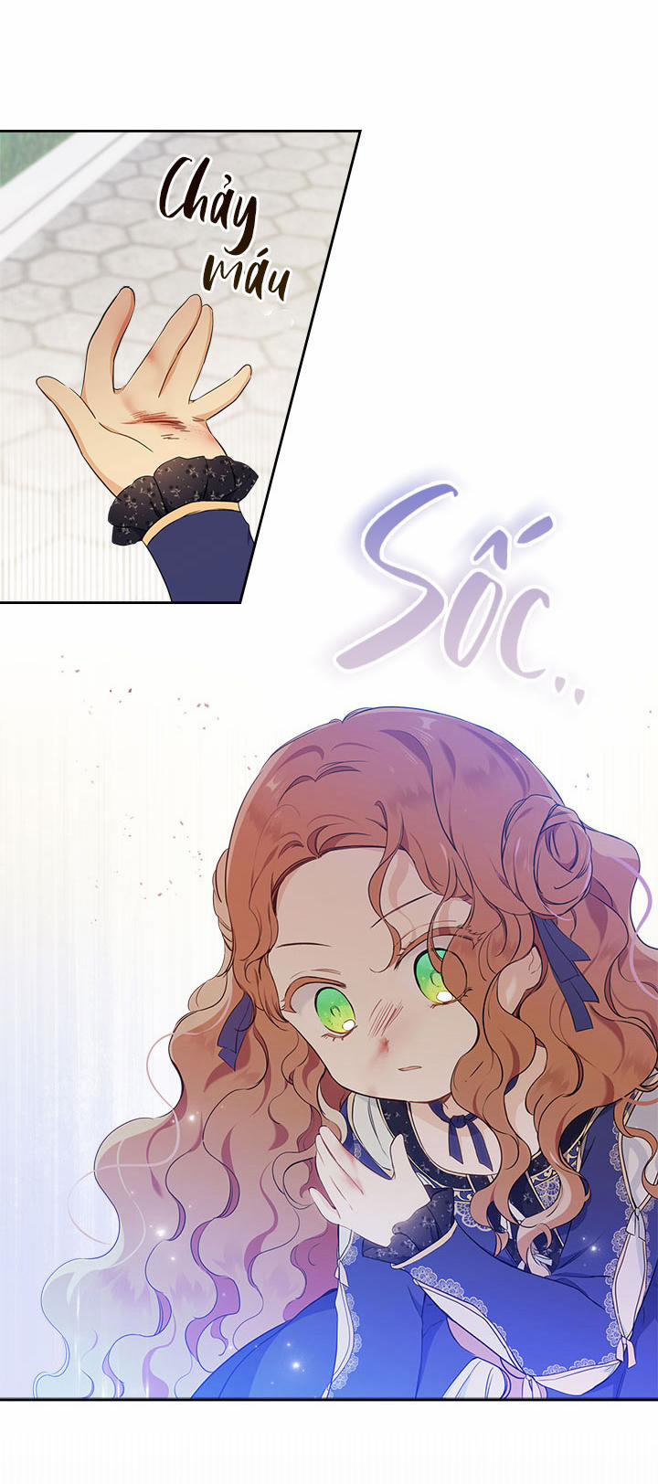 Kiếp Này Tôi Sẽ Trở Thành Gia Chủ 39 trang 13