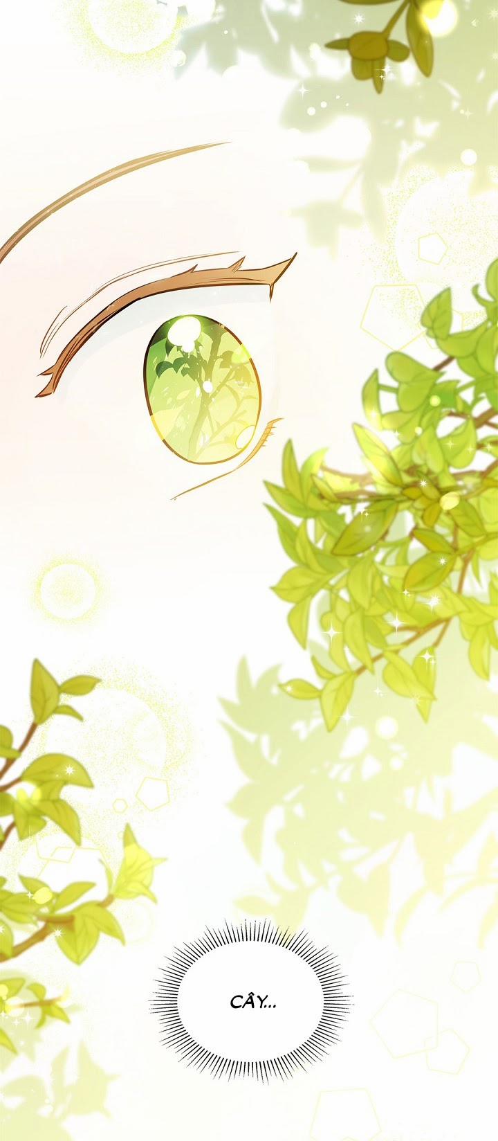 Kiếp Này Tôi Sẽ Trở Thành Gia Chủ 9 trang 52