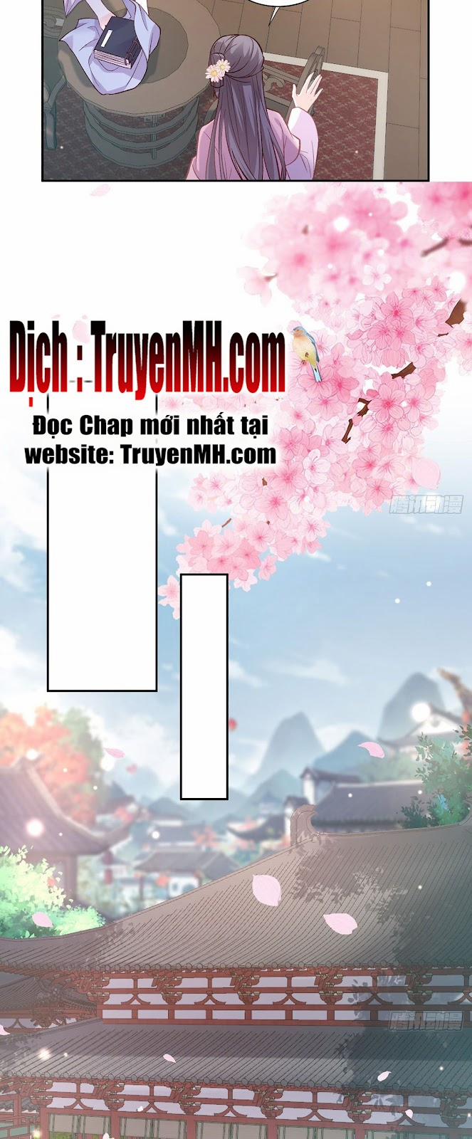 Kiều Mỵ Phu Lang, Tại Tuyến Lục Trà 34 trang 13