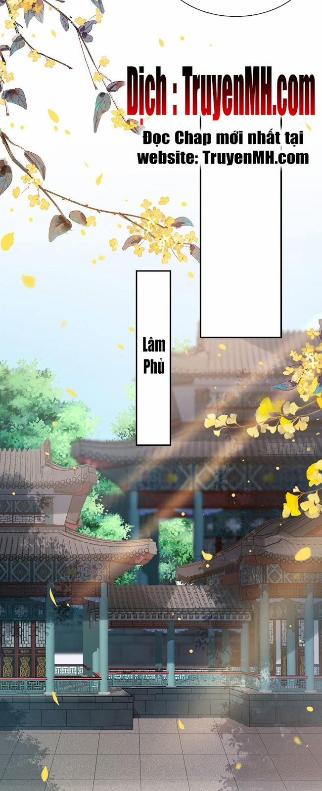 Kiều Mỵ Phu Lang, Tại Tuyến Lục Trà 36 trang 12