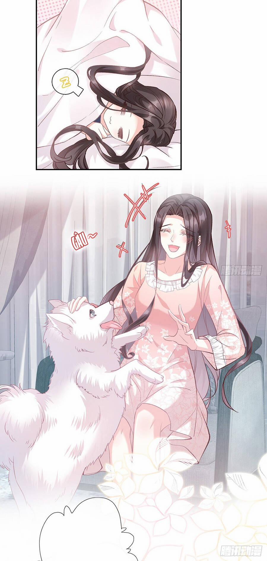 Kiều Mỵ Phu Lang, Tại Tuyến Lục Trà 40 trang 3