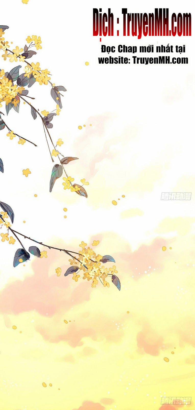 Kiều Mỵ Phu Lang, Tại Tuyến Lục Trà 52 trang 12