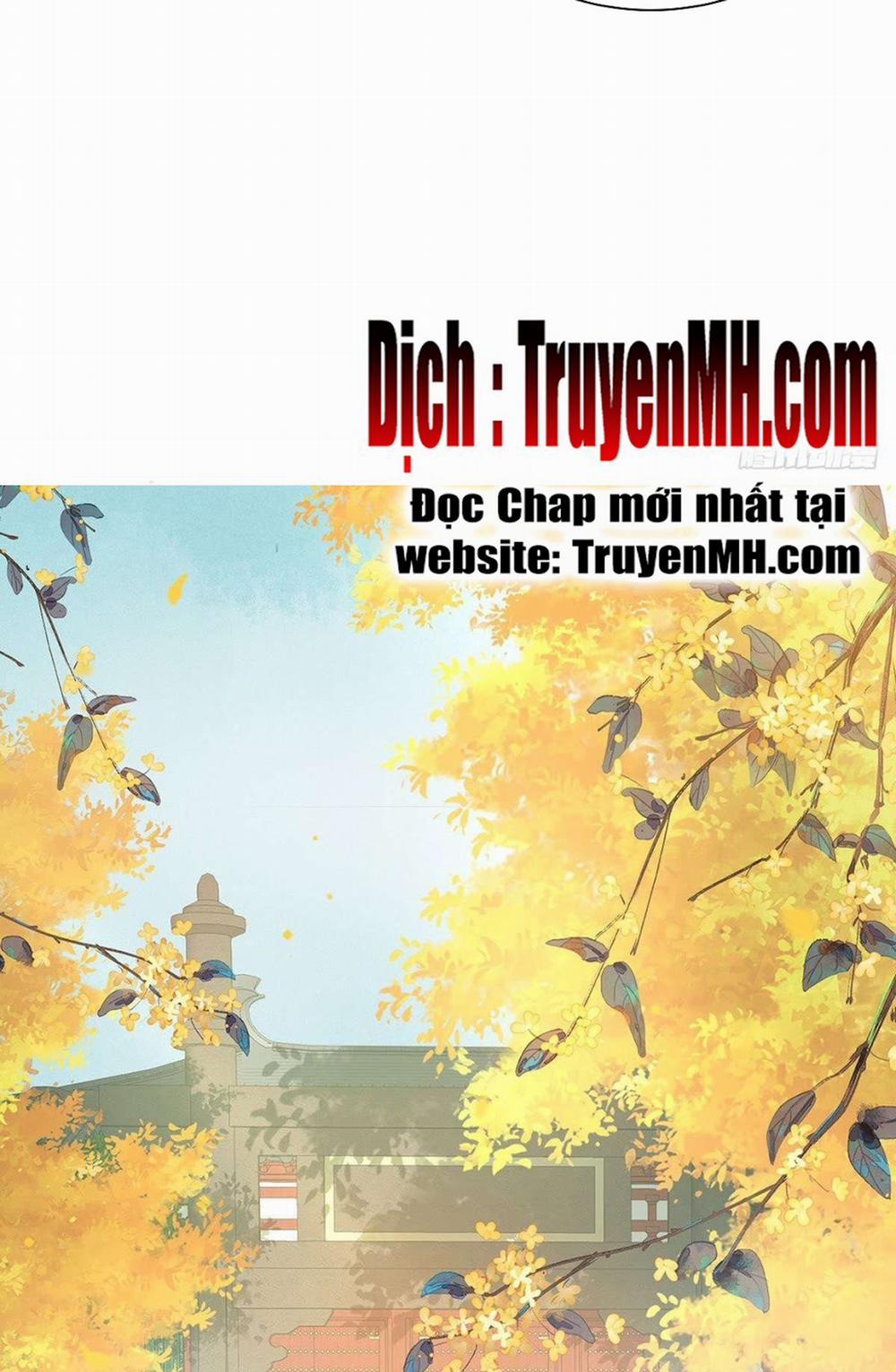 Kiều Mỵ Phu Lang, Tại Tuyến Lục Trà 61 trang 8