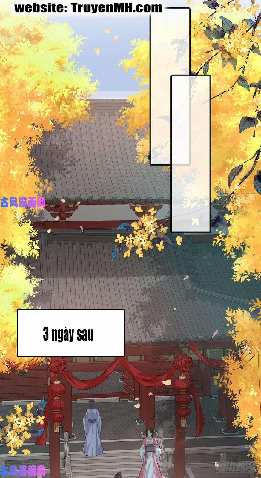 Kiều Mỵ Phu Lang, Tại Tuyến Lục Trà 62 trang 12