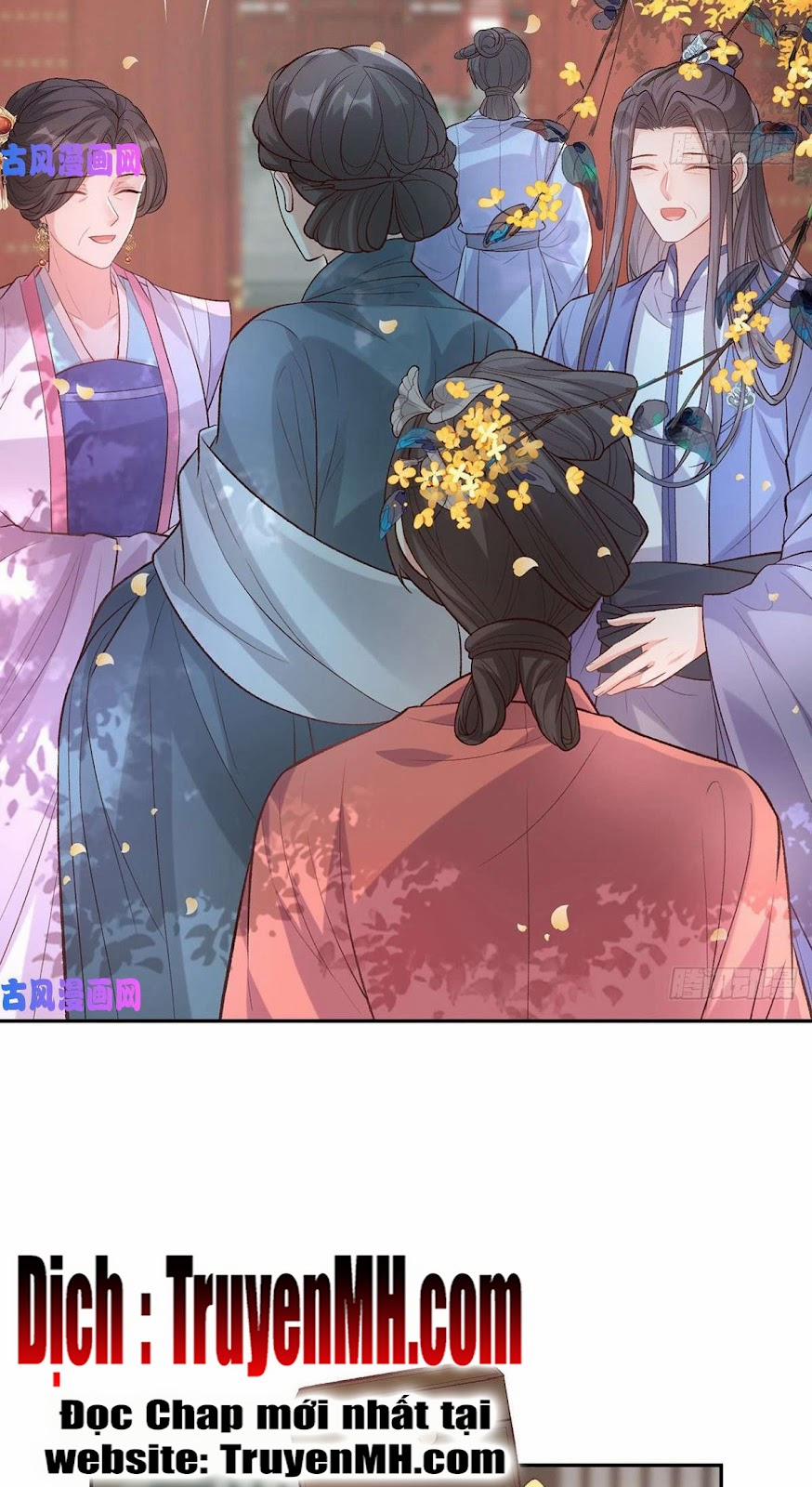 Kiều Mỵ Phu Lang, Tại Tuyến Lục Trà 62 trang 14