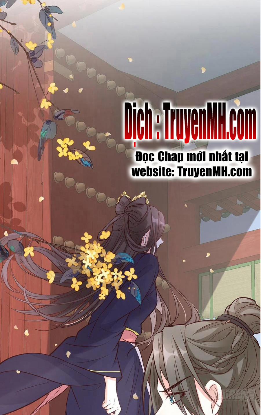 Kiều Mỵ Phu Lang, Tại Tuyến Lục Trà 66 trang 2