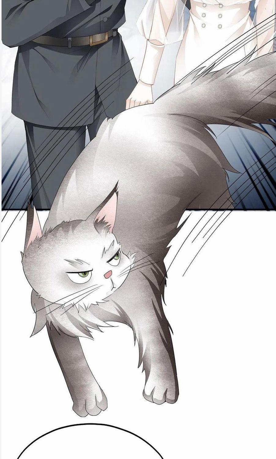 Kiều Mỵ Phu Lang, Tại Tuyến Lục Trà 69 trang 11