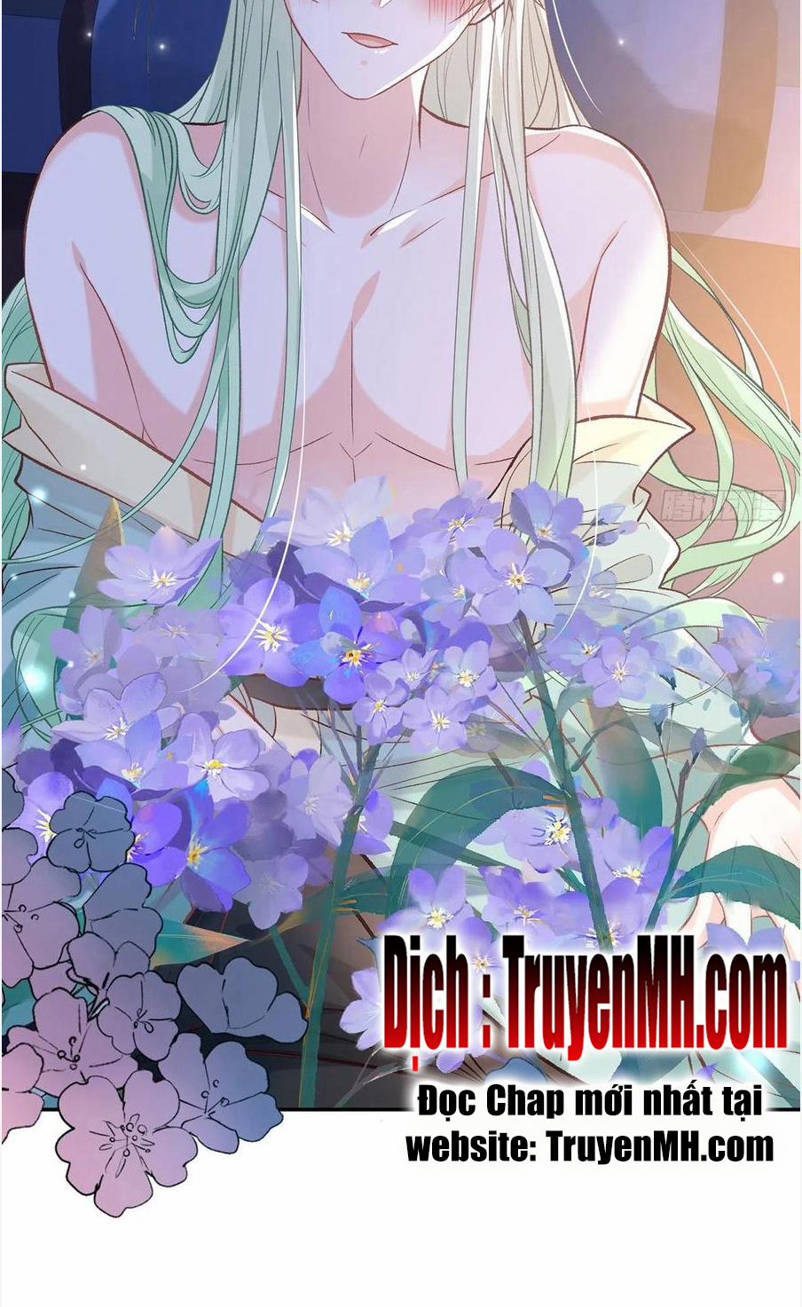 Kiều Mỵ Phu Lang, Tại Tuyến Lục Trà 77 trang 12