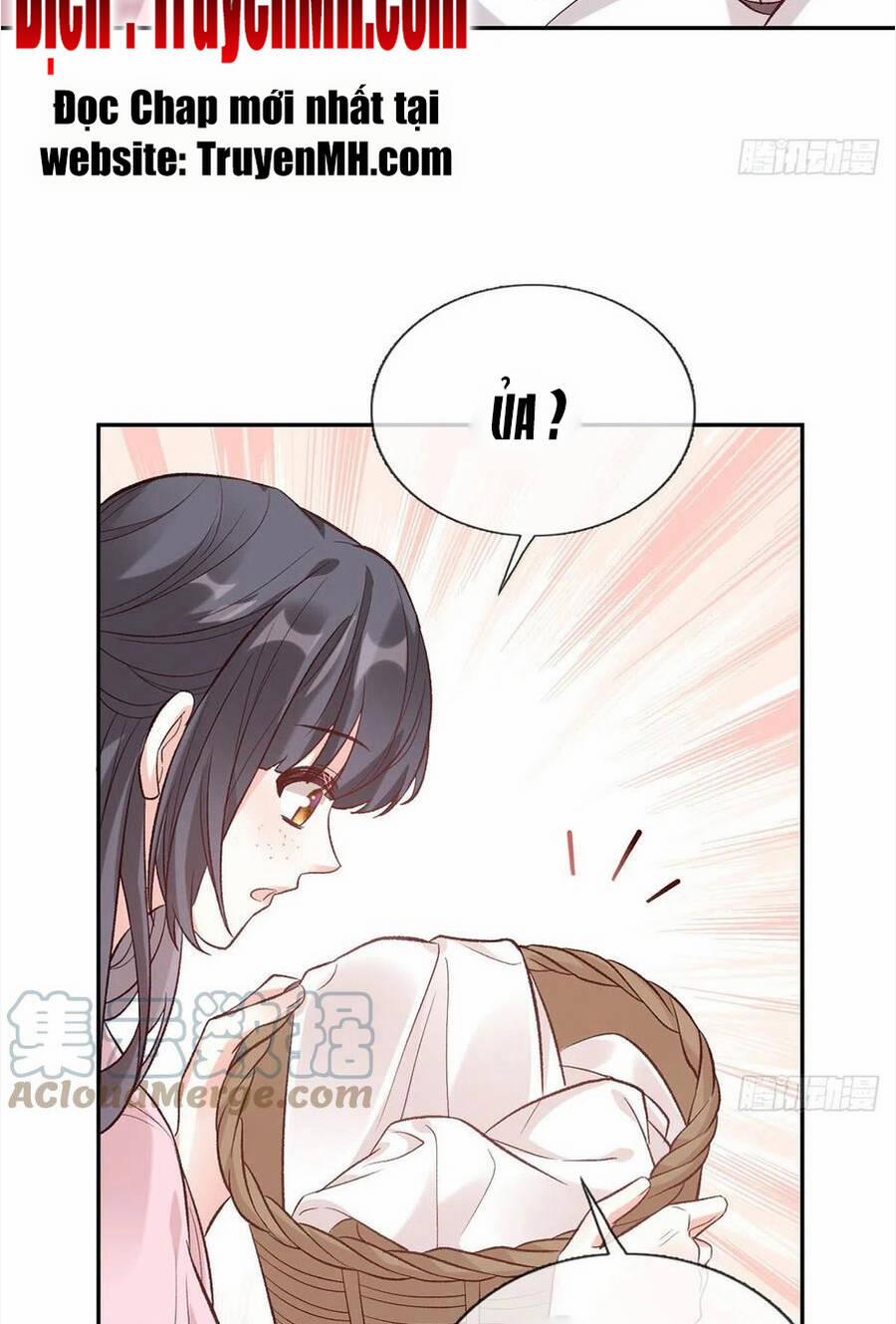 Kiều Mỵ Phu Lang, Tại Tuyến Lục Trà 79 trang 11