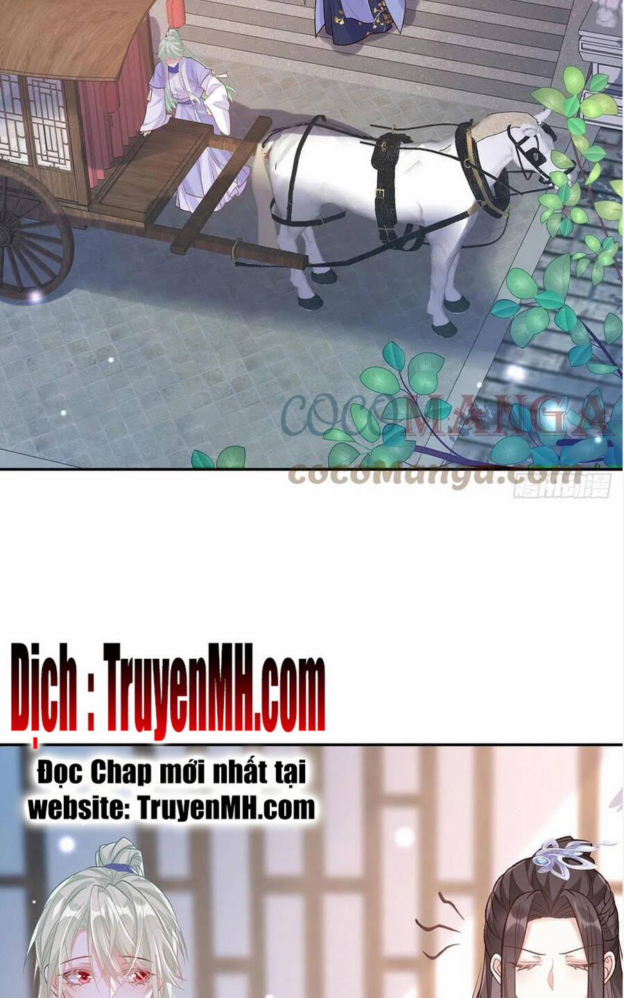 Kiều Mỵ Phu Lang, Tại Tuyến Lục Trà 80 trang 17